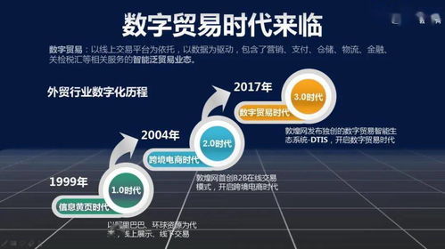数字贸易时代 数字技术服务的崛起与挑战