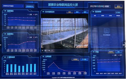 数字技术如何让我们的瓜果更美味
