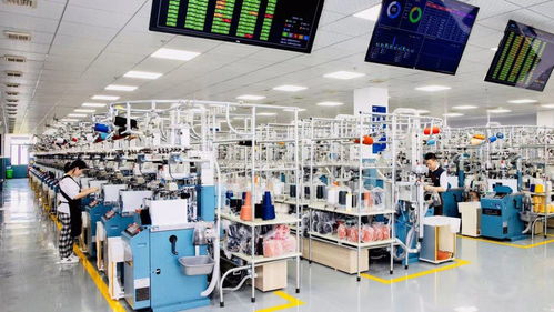 数字技术赋能智慧时尚 浙江诸暨以科技驱动产业高质量发展，助力构建双循环新格局